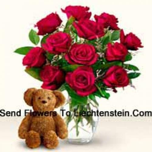 11 Red Roses with Cute 12 Inch Teddy