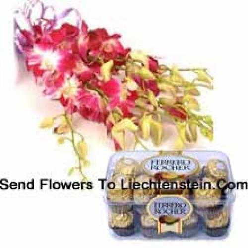 Orchidées roses charmantes avec 16 Pcs Ferrero Rochers