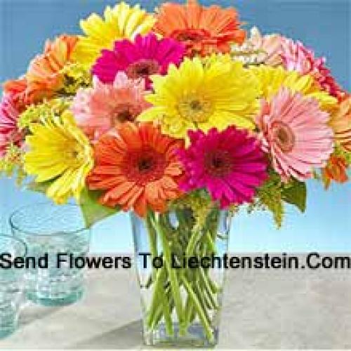 25 Pretty Mixed Gerberas