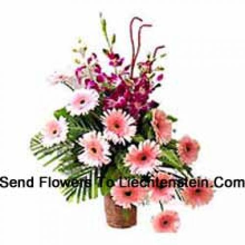 Sensational Gerberas with Orchids