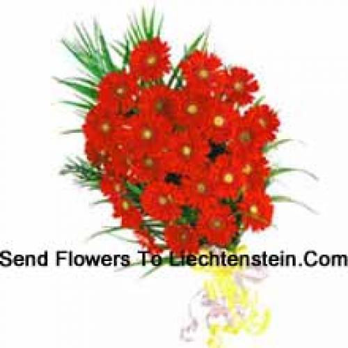 25 Exotic Red Gerberas