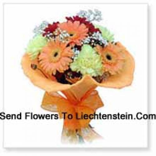 11 Assorted Cute Gerberas