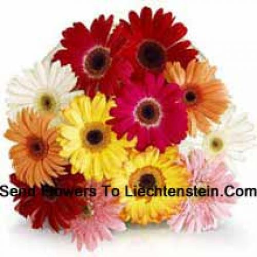 11 Verschiedenfarbige Gerbera mit Füllmaterial