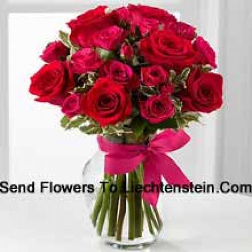 19 Cute Red Roses with Pink Bow