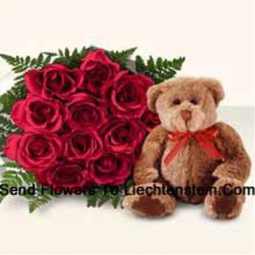 11 Rote Rosen mit niedlichem braunen Teddy