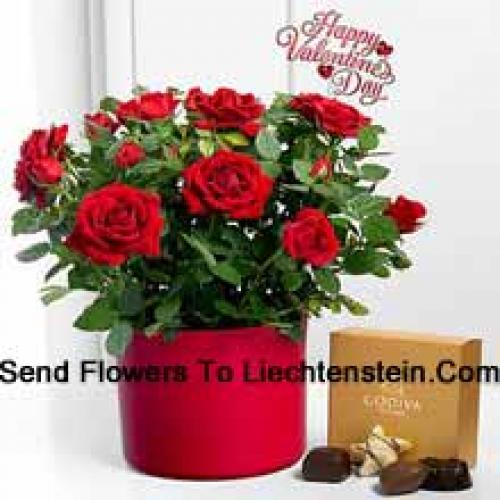 25 Red Roses with Yummy Godiva Chocolates